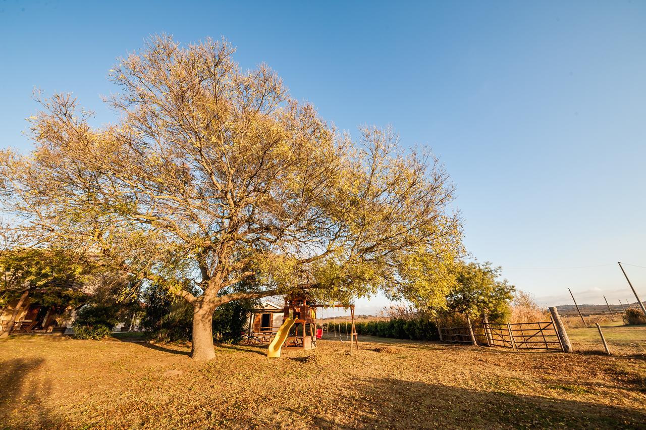 El Molino Agriturismo Fonteblanda Ngoại thất bức ảnh